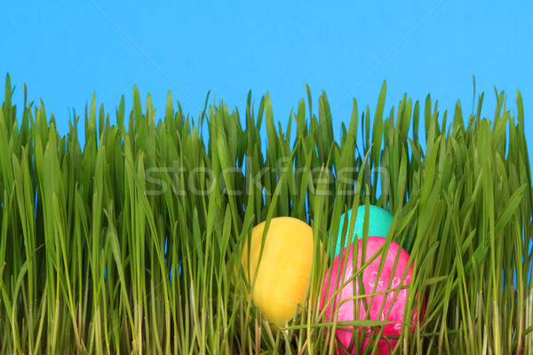 Stock photo: easter eggs