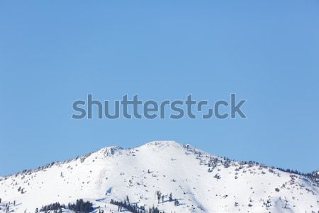 snowy mountains Stock photo © mblach