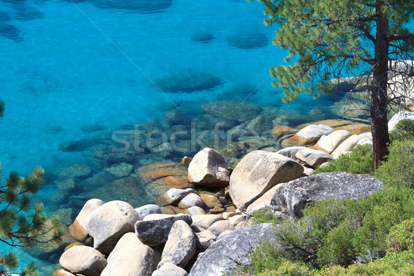 See Wasser Bäume blau Sand schönen Stock foto © mblach