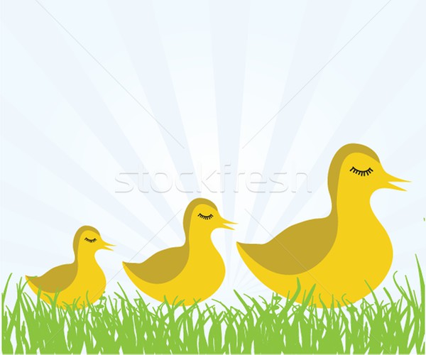 Illustraiton of young chicks Stock photo © mcherevan