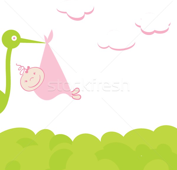 Stork bring baby girl Stock photo © mcherevan