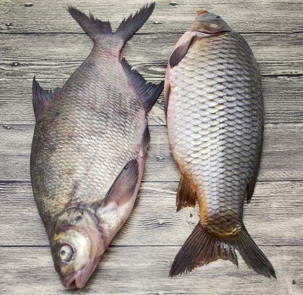 Two large fresh carp live fish lying on a wooden board  Stock photo © mcherevan