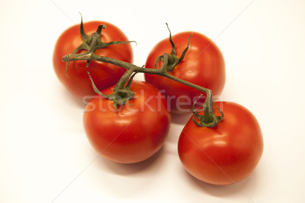 Fresh branch of red Sicilian ripe tomatoes on a white background Stock photo © mcherevan