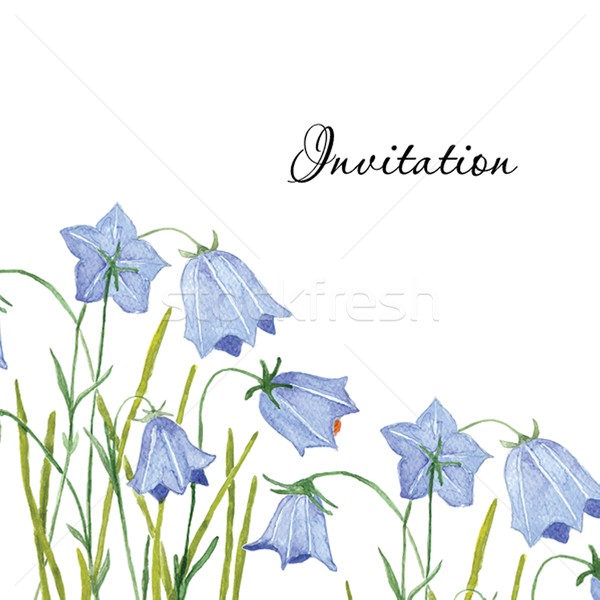 Bluebell flowers. Greeting or invitation vector card.  Hand drawn aquarel illustration. Stock photo © mcherevan