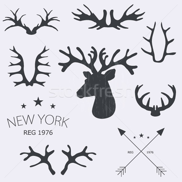 Stock photo: Deer horns set. Vector illustration.