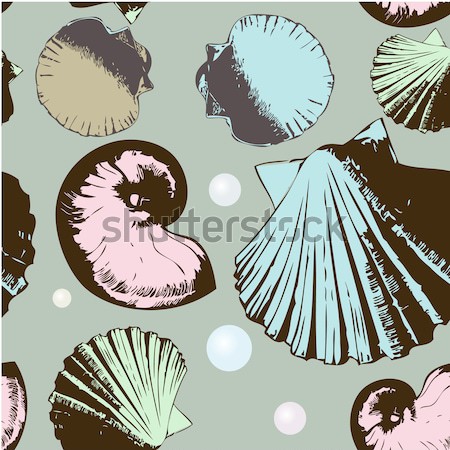 Vecteur résumé nature mer vie shell [[stock_photo]] © mcherevan
