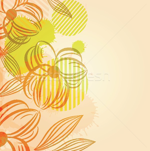 Model pastel renkli çiçekler dizayn yaprak Stok fotoğraf © mcherevan
