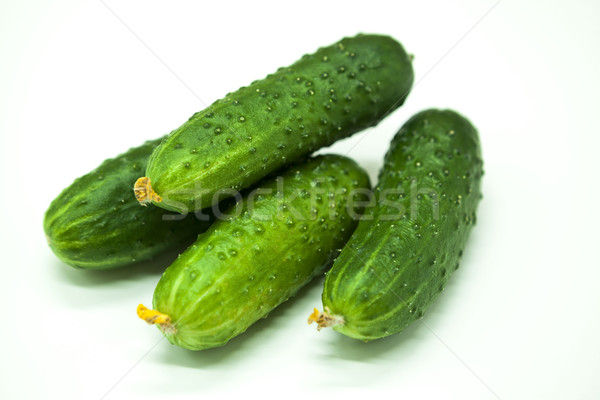Fresh appetizing tasty cucumbers on a white background. Stock photo © mcherevan