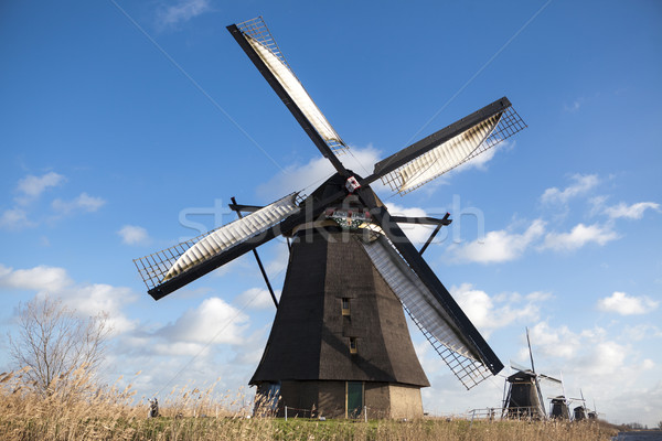 Holland windmill. Old mill chalk and flour . The beautiful backdrop of the countryside of Holland. Stock photo © mcherevan