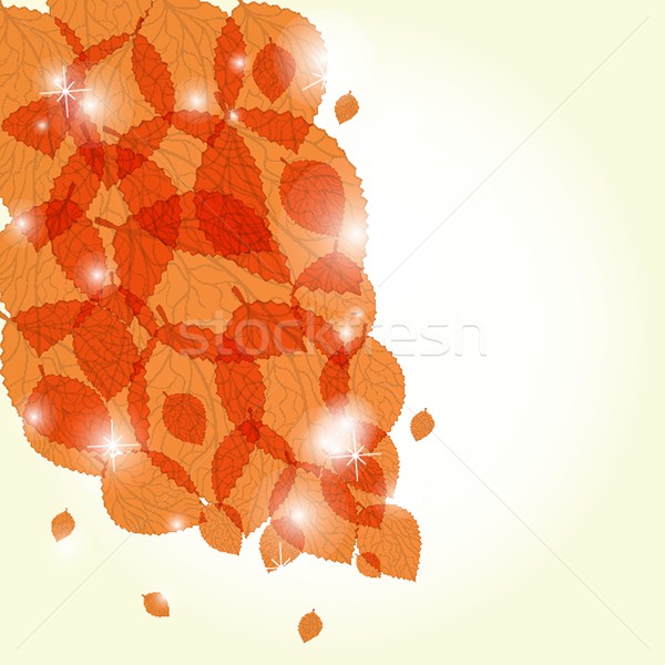  Colorful autumn leaves. Vector illustration. Stock photo © mcherevan