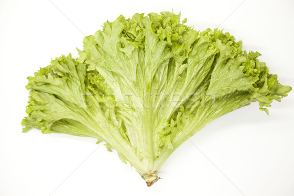 Zöld friss köteg saláta fehér legjobb Stock fotó © mcherevan