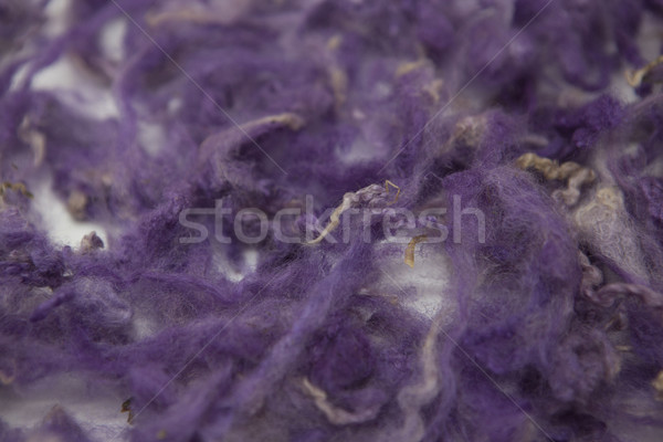 Violet piece of Australian sheep wool Merino breed close-up on a white background Stock photo © mcherevan