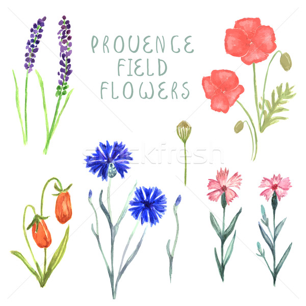 Watercolor floral box creator. Set of hand drawn wood box, plants, berries and flowers for design va Stock photo © mcherevan