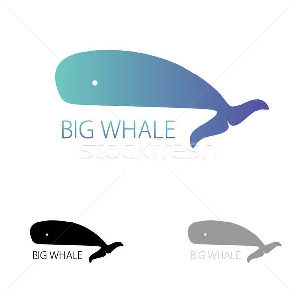 Vector image of a big whale. Whale logo for your buisiness Stock photo © mcherevan
