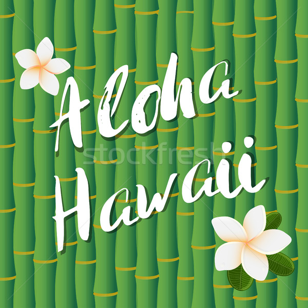 Vector design of Aloha Hawaii brush lettering text on bamboo stems background and frangipany flowers Stock photo © mcherevan