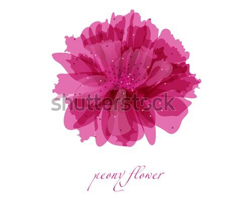Watercolor painted  vector  hibiscus. Tropical Flower. Violet vector flower. Stock photo © mcherevan