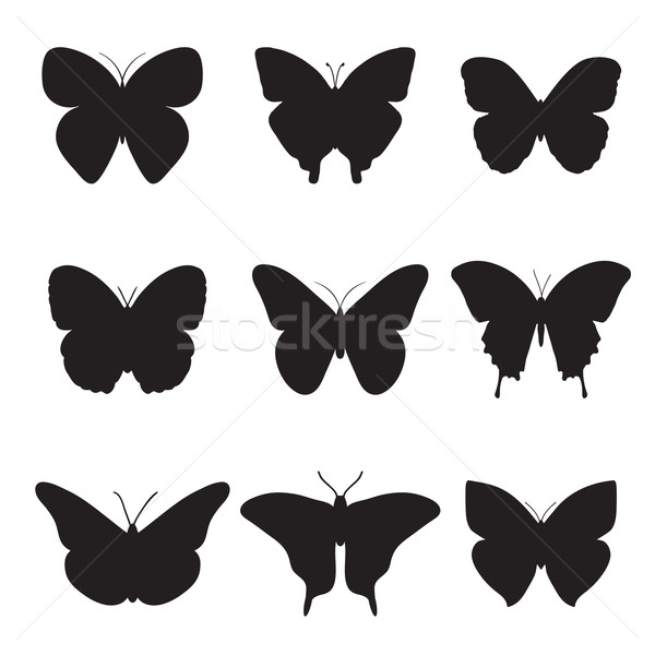 Black butterflies on white background. Stock photo © mcherevan