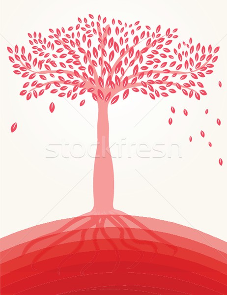 Pink Japanese apricot flower Stock photo © mcherevan