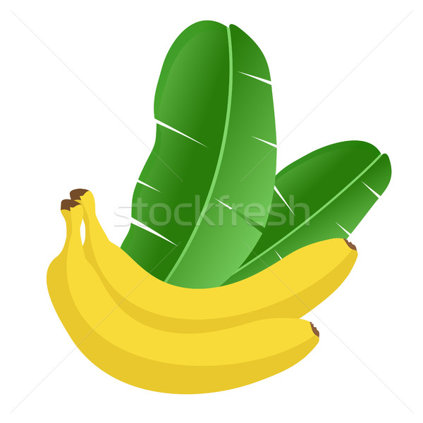 банан фрукты пальмовых листьев стиль два желтый Сток-фото © mcherevan