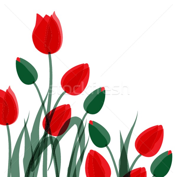 Dekoracyjny tulipany kwiaty tulipan wektora kwiat Zdjęcia stock © mcherevan