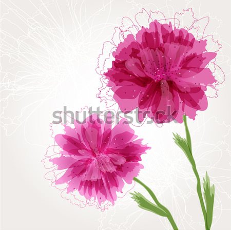 Watercolor painted  vector  hibiscus. Tropical Flower. Violet vector flower. Stock photo © mcherevan