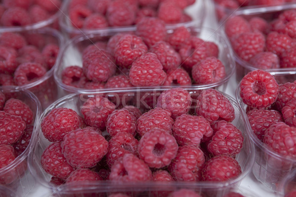 Fresh juicy raspberry on the market Stock photo © mcherevan