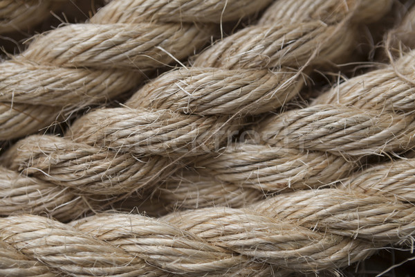 Roll of ship ropes as background texture Stock photo © mcherevan