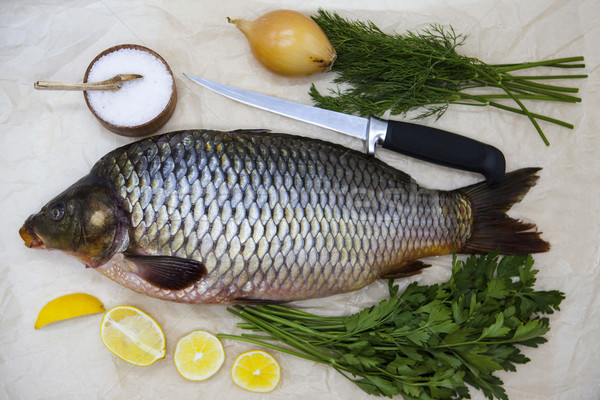 A large fresh carp live fish lying on a on paper background with a knife and slices of lemon and wit Stock photo © mcherevan
