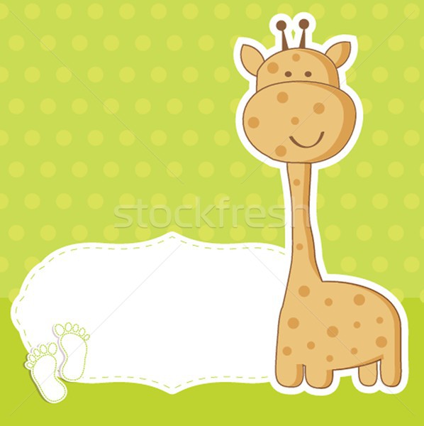 baby boy announcement card. vector illustration Stock photo © mcherevan