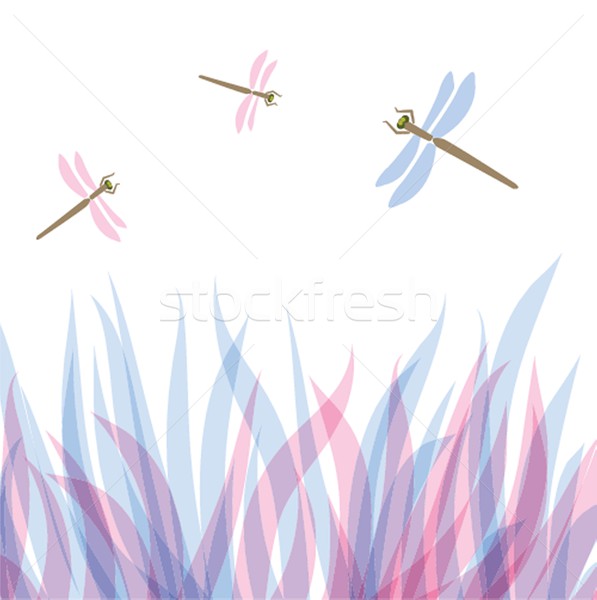 Dragonfly ślub książki projektu piękna czarny Zdjęcia stock © mcherevan