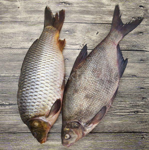 Two large fresh carp live fish lying on a wooden board  Stock photo © mcherevan