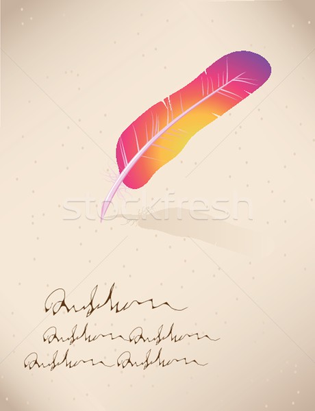 feather Stock photo © mcherevan