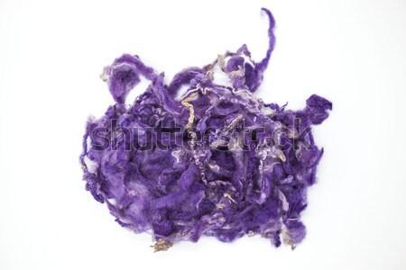 Violet piece of Australian sheep wool Merino breed close-up on a white background Stock photo © mcherevan