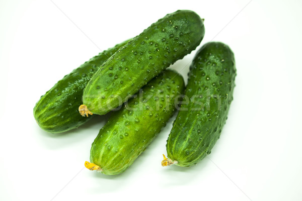 Fresh appetizing tasty cucumbers on a white background. Stock photo © mcherevan