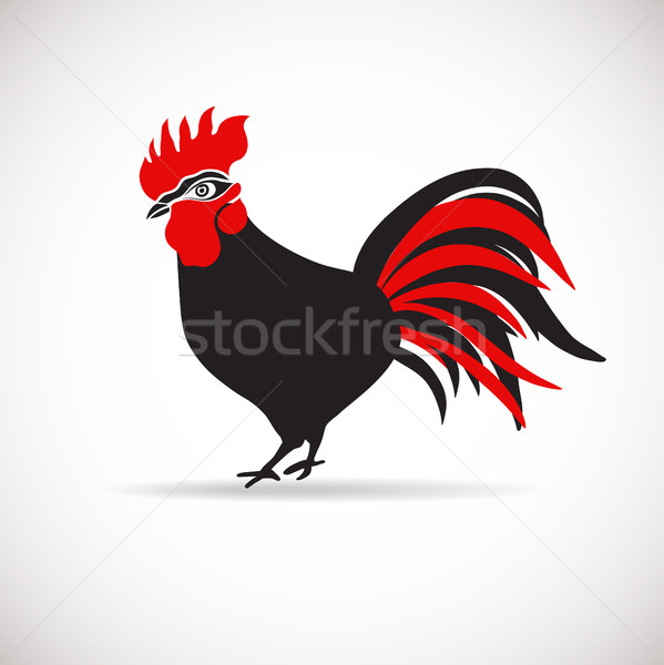 Vector image of an cock on white background Stock photo © mcherevan
