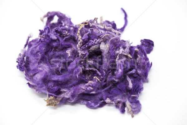 Violet stuk australisch schapen wol ras Stockfoto © mcherevan