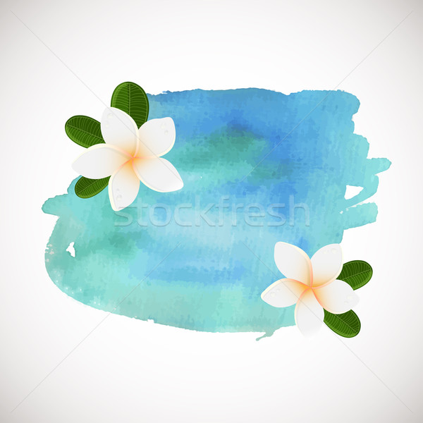 Stock photo: White plumeria flower logotype. Vector illustration of white Two Frangipani flowers with green leave