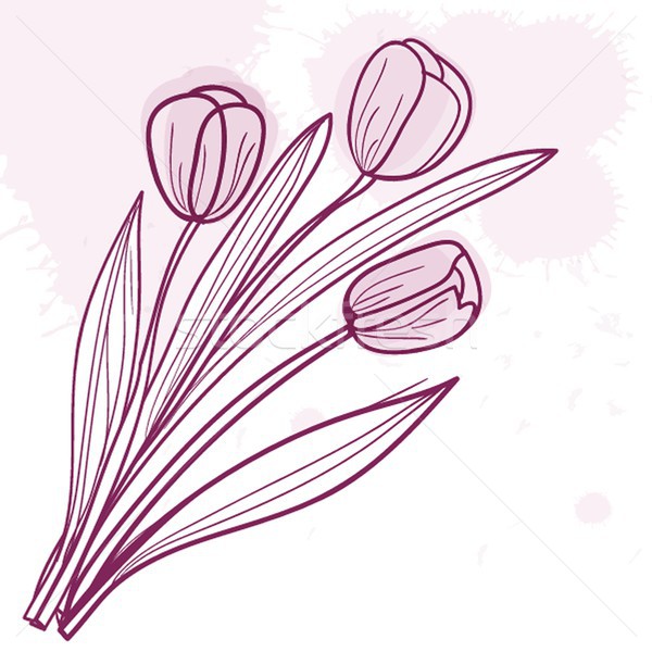 Foto stock: Decorativo · tulipas · flores · tulipa · vetor · flor