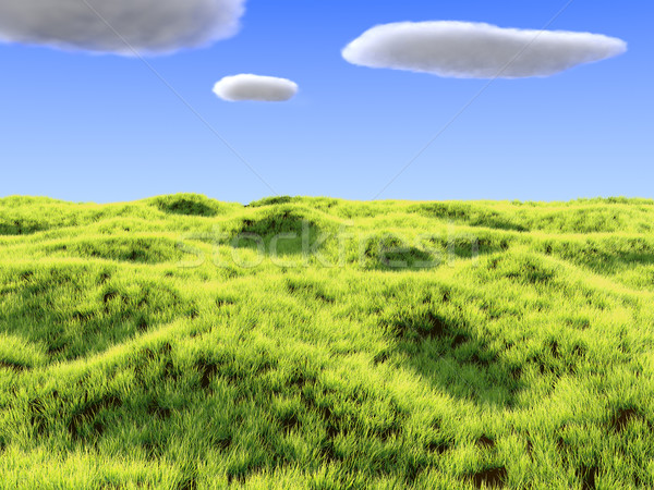 Campo de hierba hacer brillante nubes cielo hierba Foto stock © Mcklog