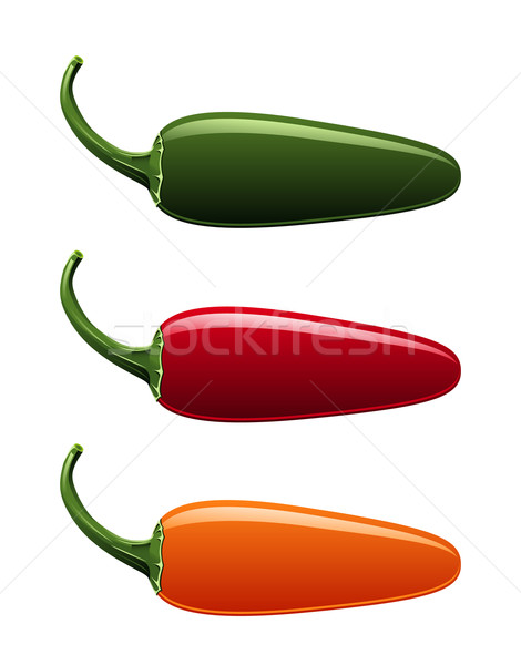 Jalapeno papryka wektora pieprz kolory Zdjęcia stock © Mcklog