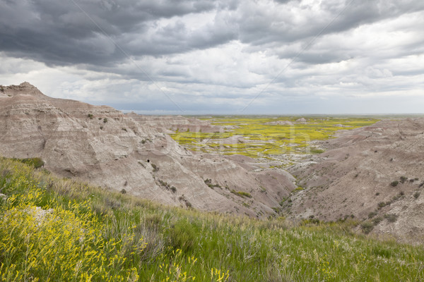 гроза парка Южная Дакота Соединенные Штаты Storm Сток-фото © mdfiles