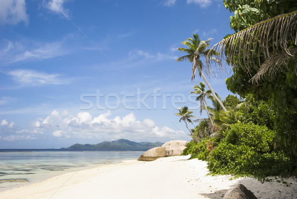 Rüya plaj ada Seyşeller Hint Stok fotoğraf © mdfiles