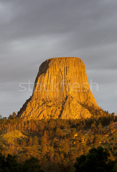 Devils Tower Stock photo © mdfiles
