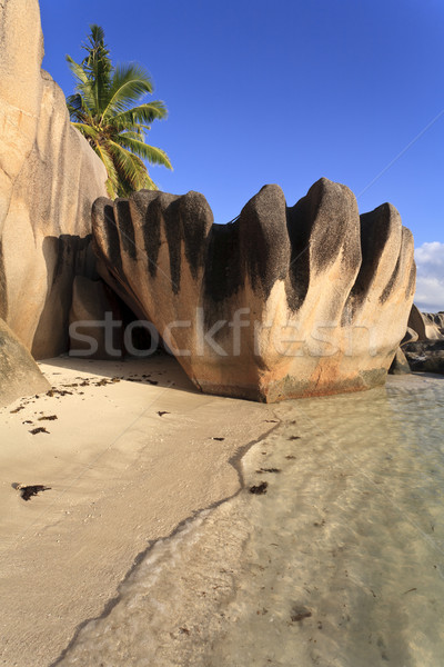Seszele plaży duży granitu skał wyspa Zdjęcia stock © mdfiles