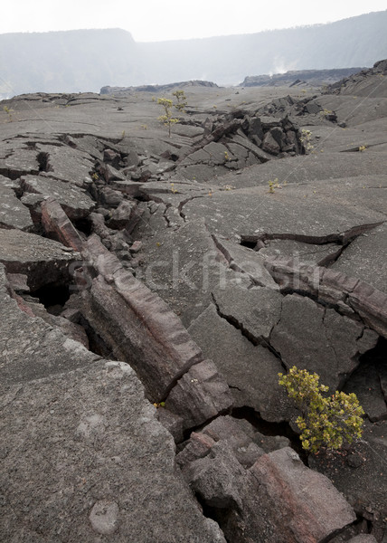 лава трещин туманный кратер Гавайи парка Сток-фото © mdfiles