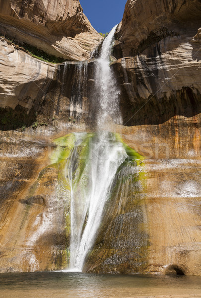 Torrente colorato abbassare Utah Stati Uniti natura Foto d'archivio © mdfiles