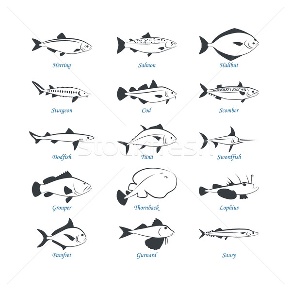 Deniz ürünleri simgeler balık can kullanılmış restoranlar Stok fotoğraf © Mediaseller