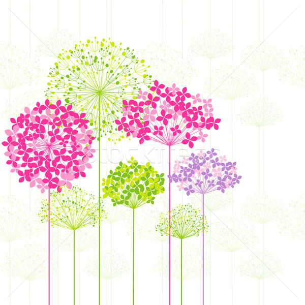 Foto stock: Primavera · colorido · flor · dandelion · fundo