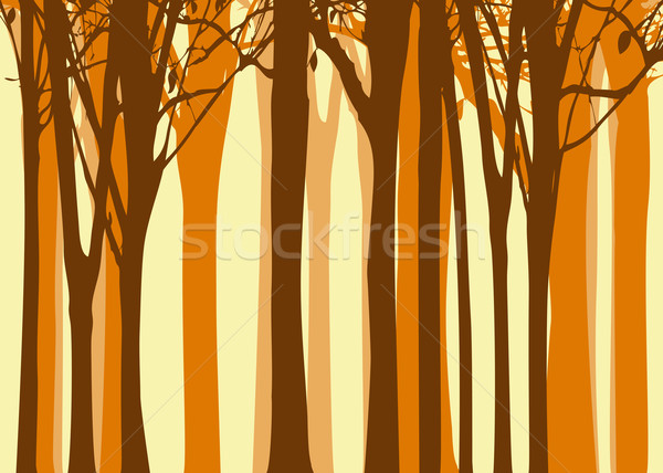 Abstract colorful autumn tree background  Stock photo © meikis