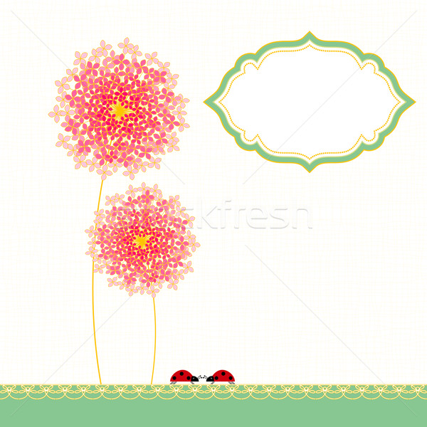 Colorful Hydrangea Flower Garden Party Stock photo © meikis